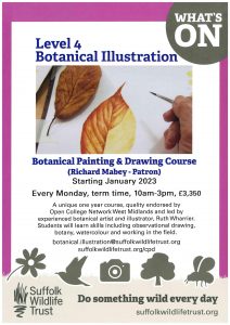 SWT Botanical drawing course