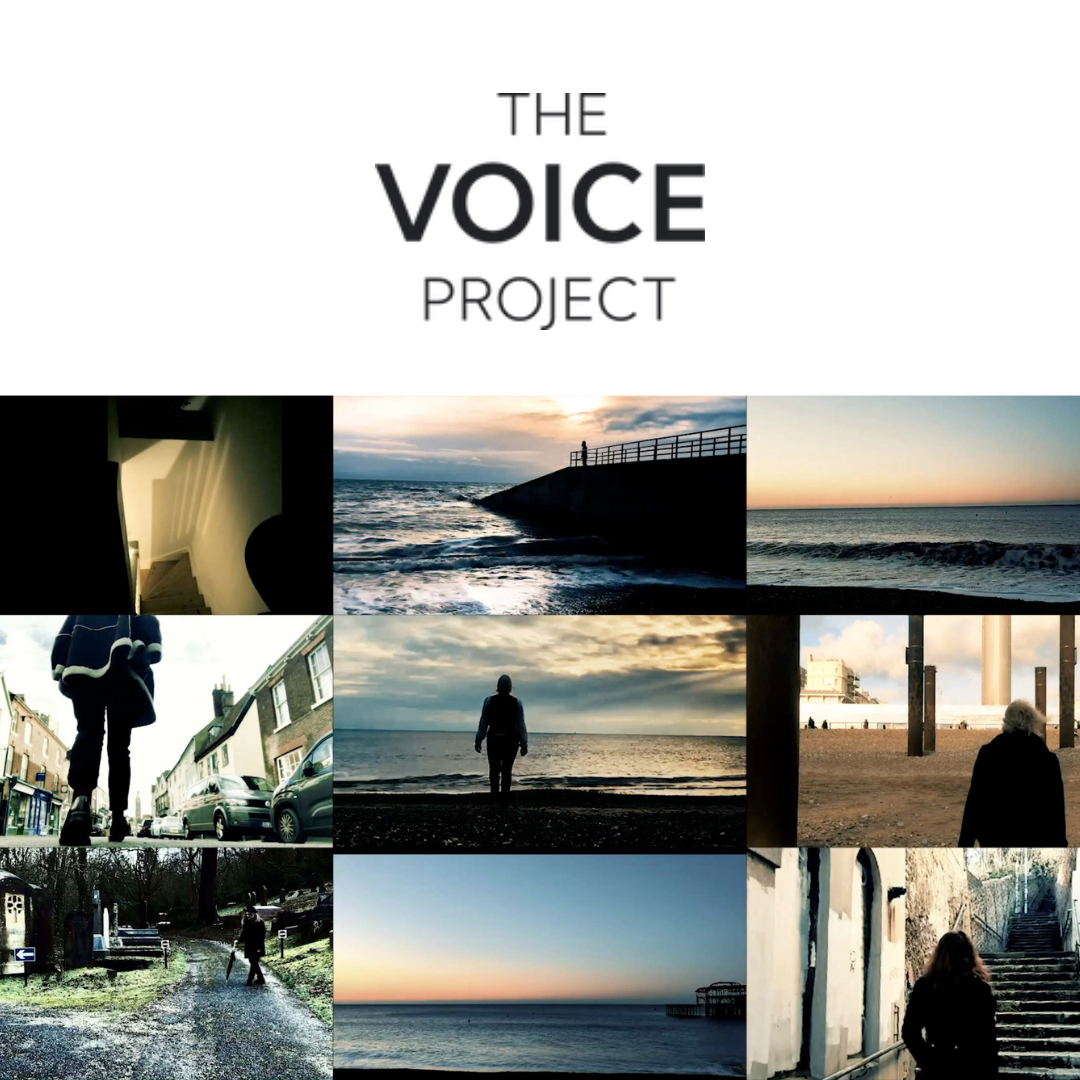 The Voice Project images