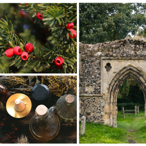 Church, yew and potions