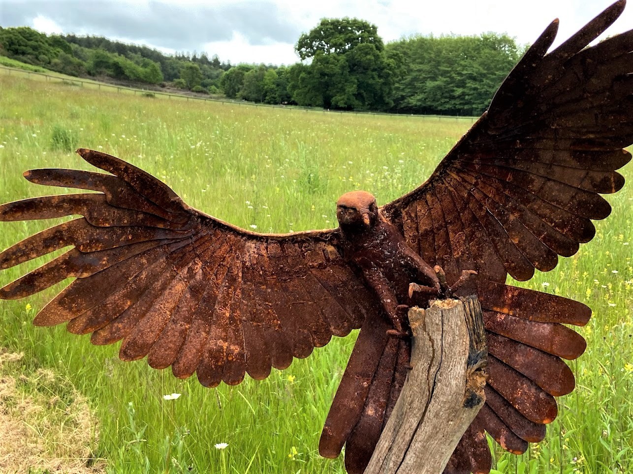 Goshawk sculpture by Tobias Ford